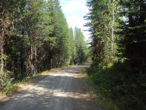 GDMBR: Southbound on NF-9991 (abeam Condon, MT).